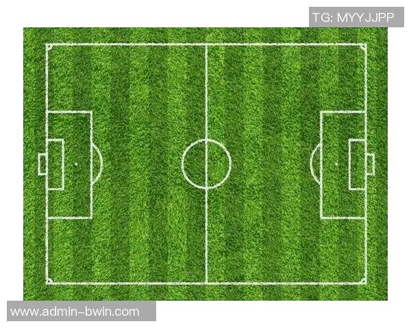 足球场拼图：探索绿茵场上的战术布局与团队协作之美